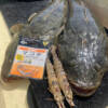 Thumbnail of new posts 060