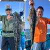 Thumbnail of new posts 124