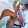 Thumbnail of new posts 064