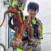 Thumbnail of new posts 056