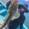 Thumbnail of new posts 050