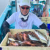 Thumbnail of new posts 057