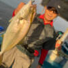 Thumbnail of new posts 181