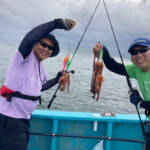 Thumbnail of new posts 186