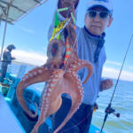 Thumbnail of new posts 033