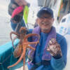 Thumbnail of new posts 117