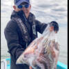 Thumbnail of new posts 166