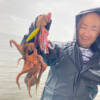 Thumbnail of new posts 033
