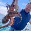 Thumbnail of new posts 194