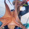 Thumbnail of new posts 147