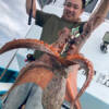 Thumbnail of new posts 010