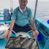 Thumbnail of new posts 019