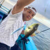 Thumbnail of new posts 074